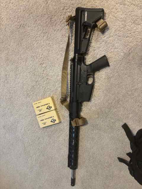 Palmetto state armory PA-10 308 AR-10