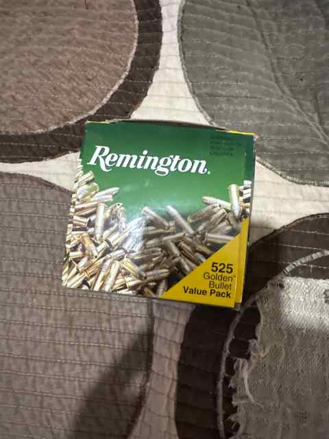 22lr Remington ammo 