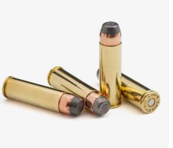 Looking for 600 or 700 grain 500S&amp;W ammo
