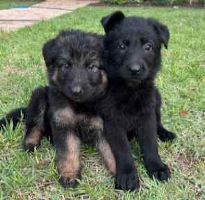 image000003.jpg