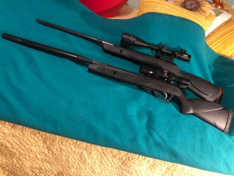 GAMO Varmit .177 w/scope