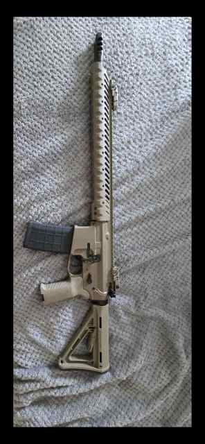 Custom built A.R. 15 with the Franklin binary trig