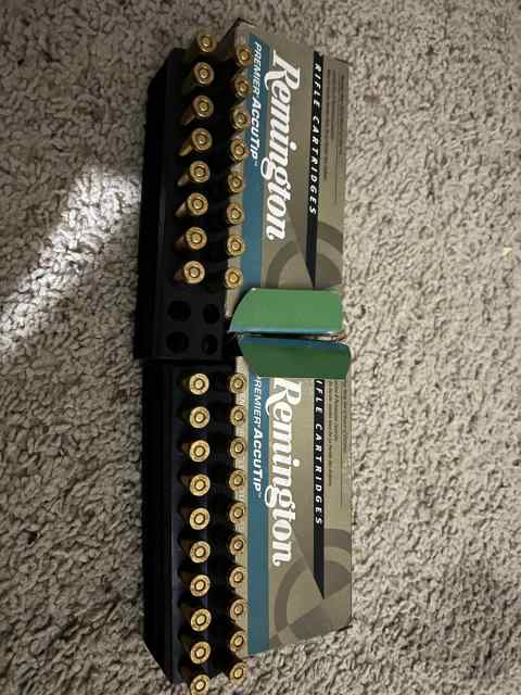 204 ruger ammo