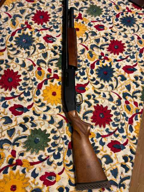 Mossberg 500 youth 20ga