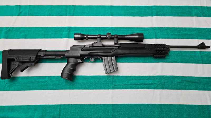 Ruger mini 14
