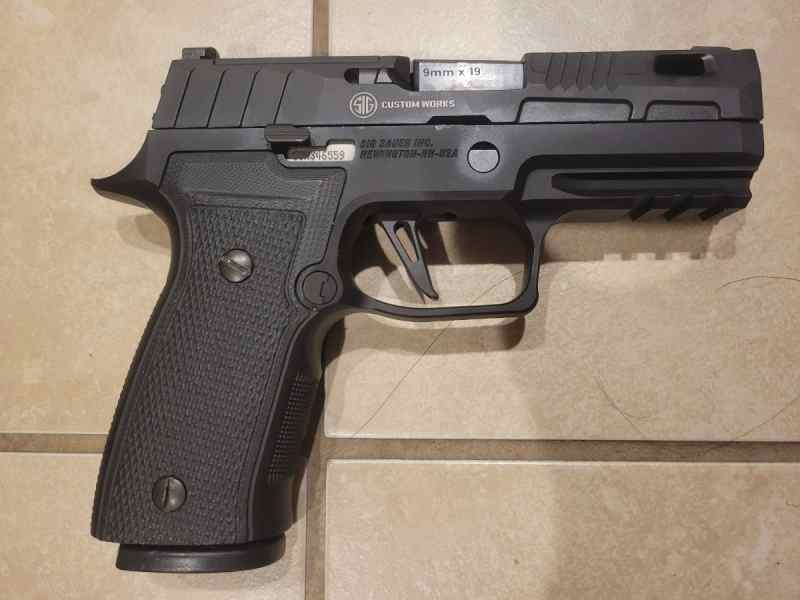 P320 AXG b.jpg