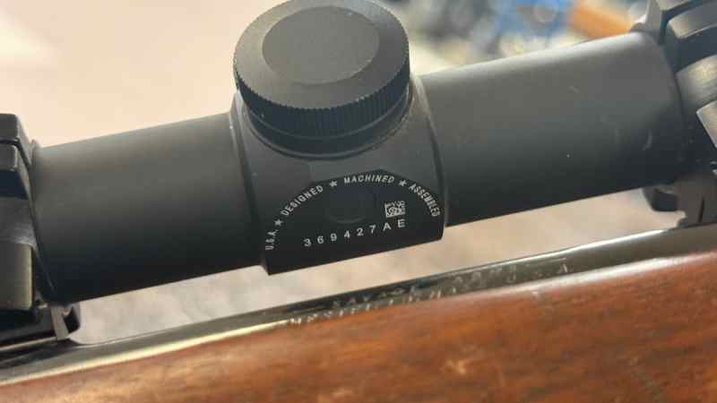 IMG_2003.jpeg