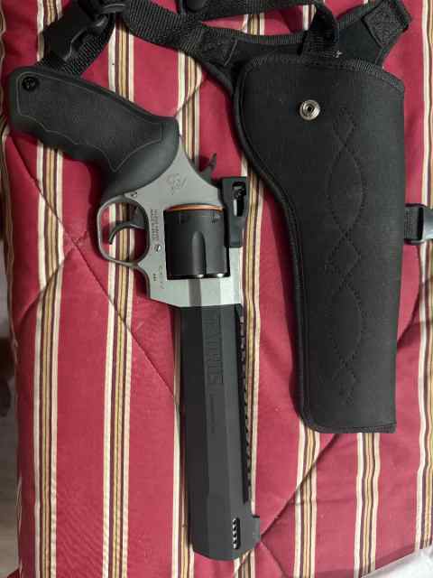 TAURUS RAGING HUNTER 