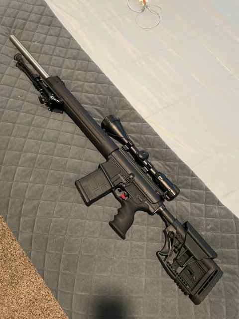 AR10 308 wts 