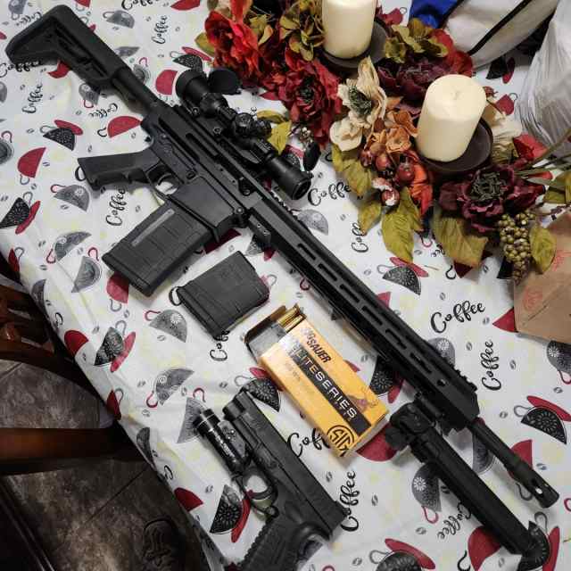 AR10 .308