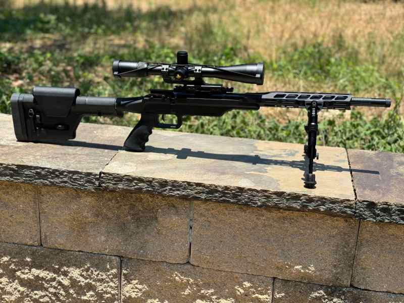 Safe Dump (TargetSavage .22,/NAA BW/Aimpoint 9000)