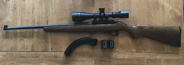 Ruger 10/22 Sporter, Model 01102, +  50 Round Mag