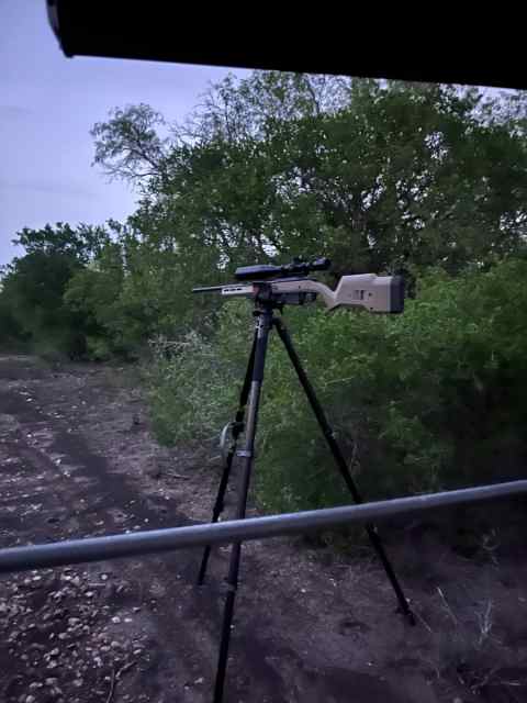 Ruger American 6mm creed
