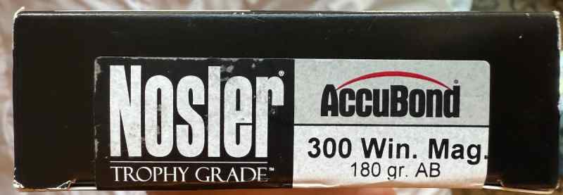 Ammo1.jpg