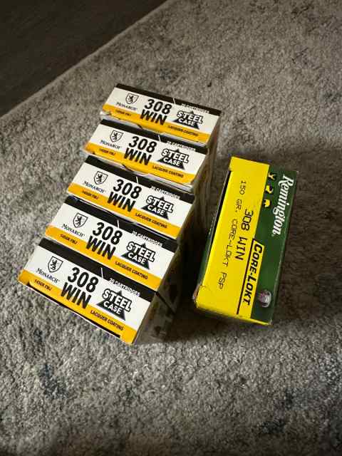 .308 ammo