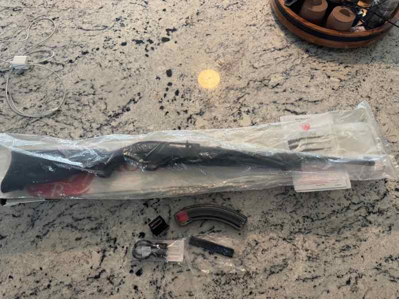 Ruger 10/22 