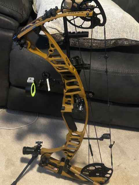 Hoyt vtm 31