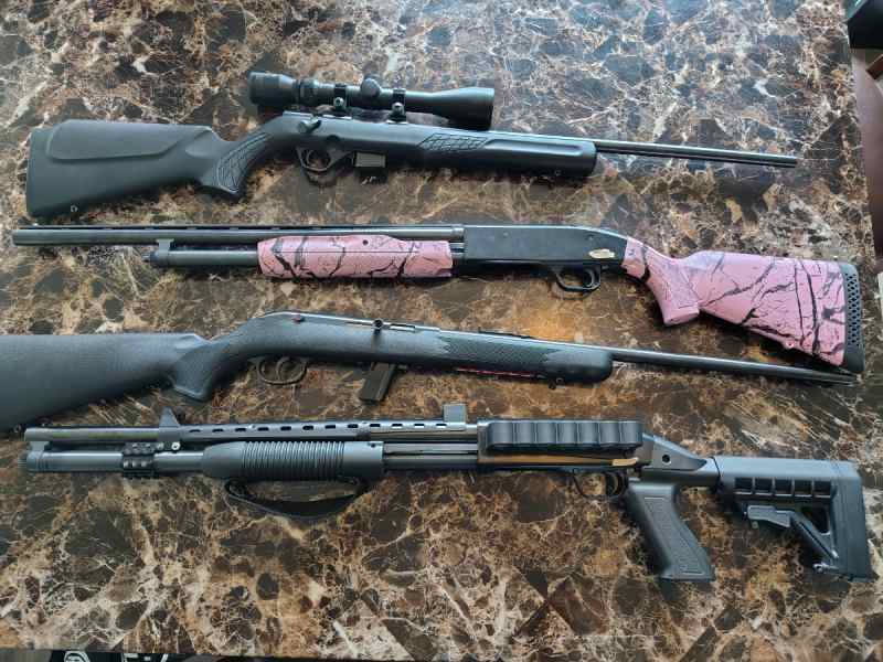 .17HMR, 20g, 22lr, 12g