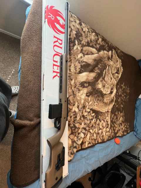 Ruger Hawkeye II target in 308