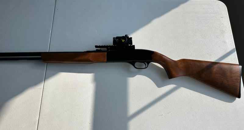 Winchester 190 clean with red dot sight !