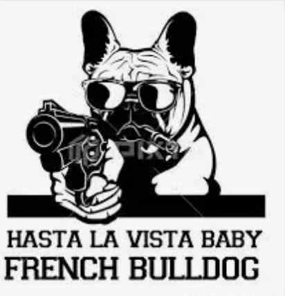 IMG_0388.jpeg