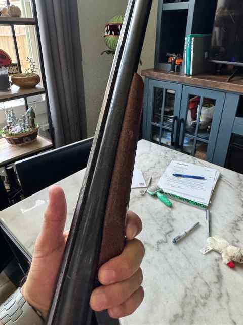 Stoeger coach 12ga