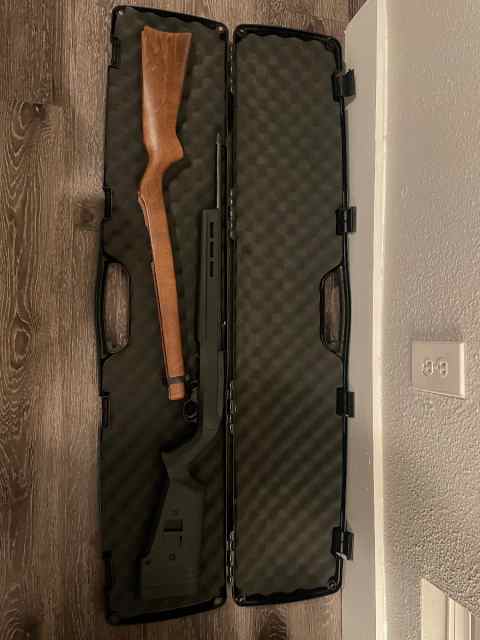 Ruger 10/22 