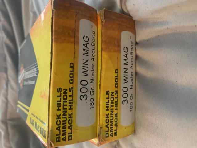 300 win mag Black Hills 180 gr Accubond - 2 boxes