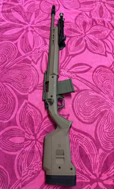 Remington 700 .223