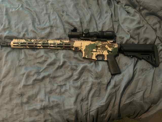 IWI Zion 15 with Vortex Strike Eagle 1-8x24