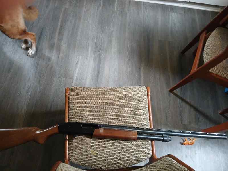 Mossberg 835