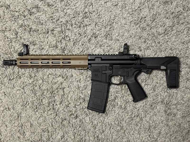 HBPDW brace on an 11.5 PSA build FS/FT
