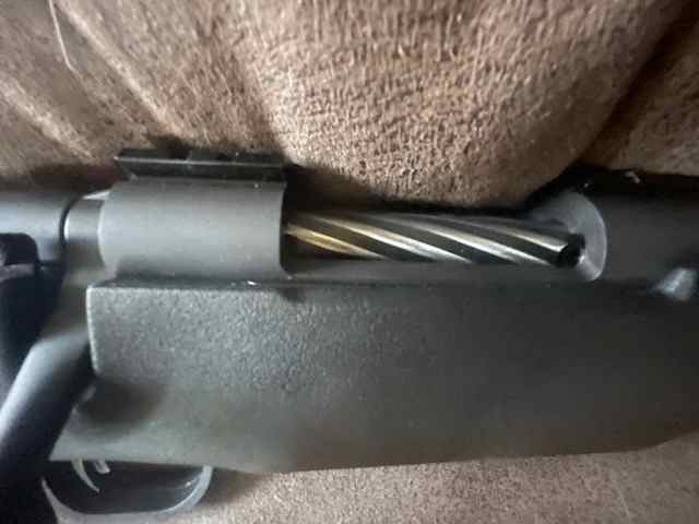 Moss Pat 308 (2)