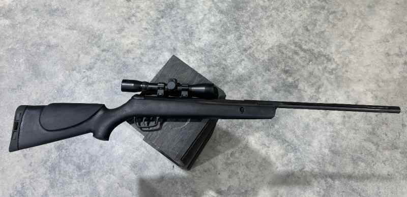 Gamo big cat 1250
