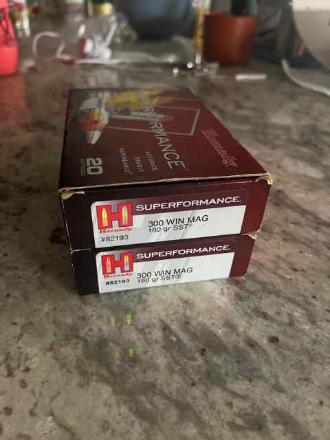Hornady 300 WIN MAG 180 GR SST (31 rounds) 