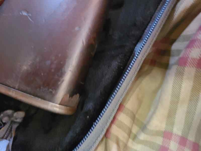 20250710_130335.jpg