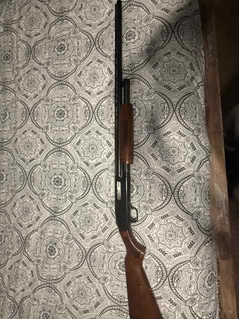 Mossberg 500a