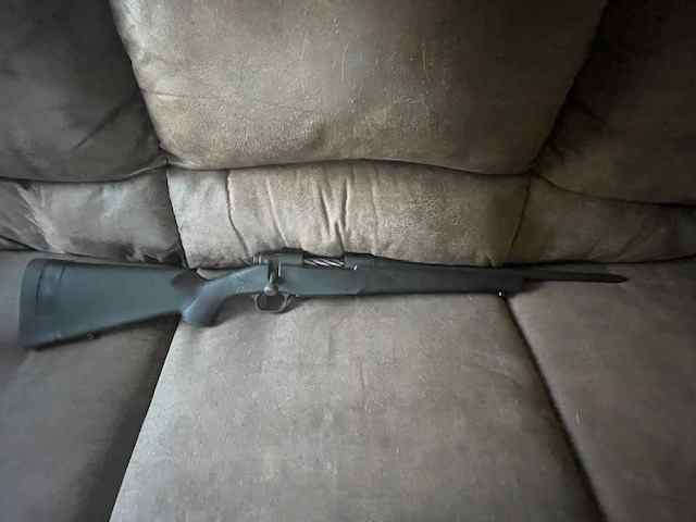 Moss Pat 308 (1)