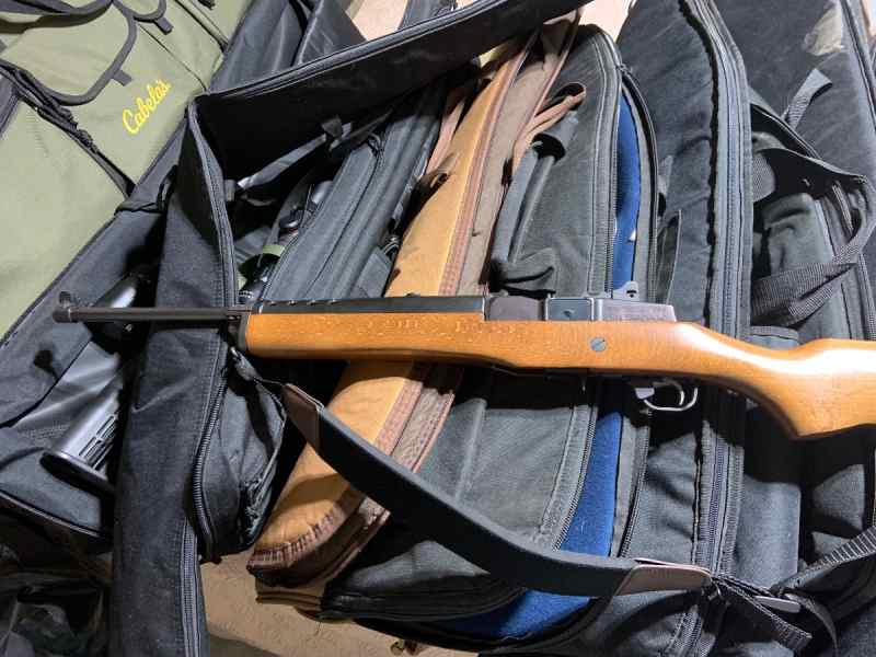 Ruger mini 14 223