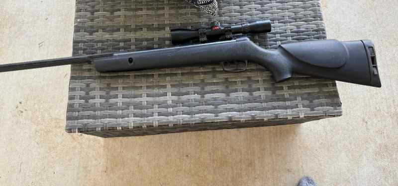 Gamo Big Cat 1250