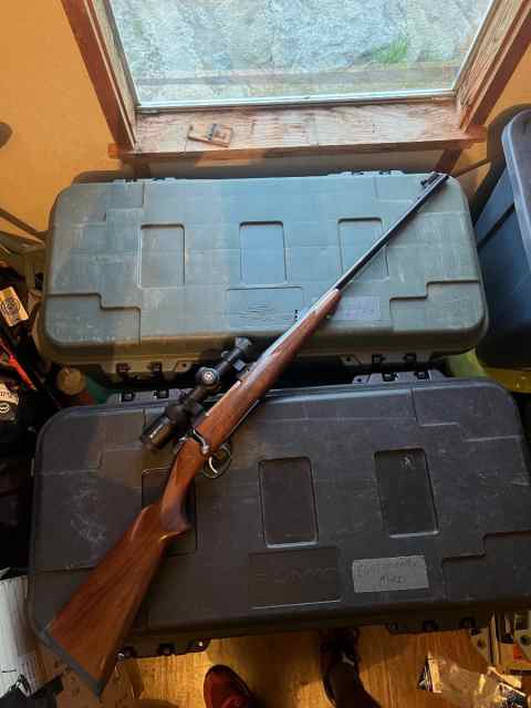 Cz550 .308