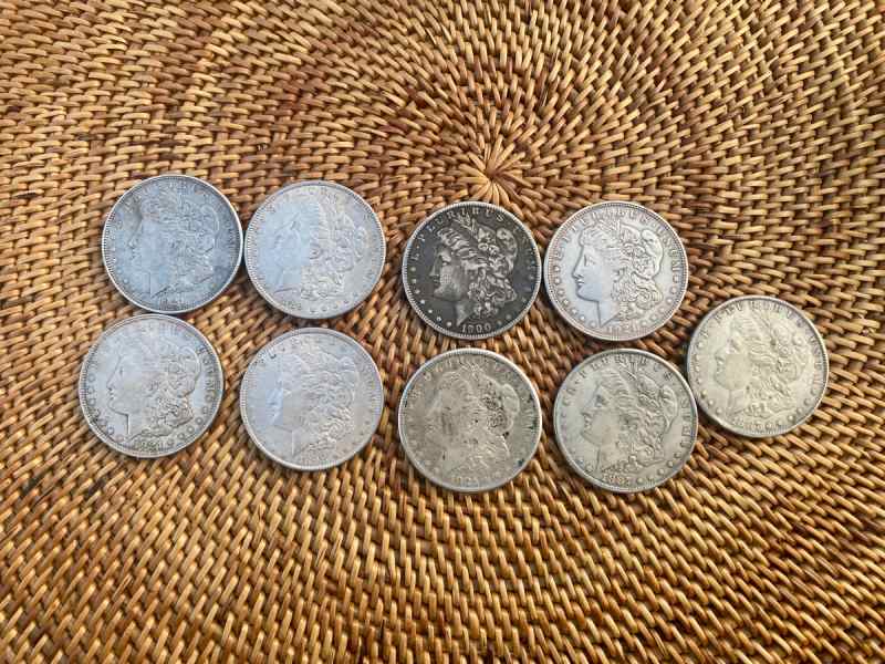 Mogan silver dollars -  Liberty half dollars